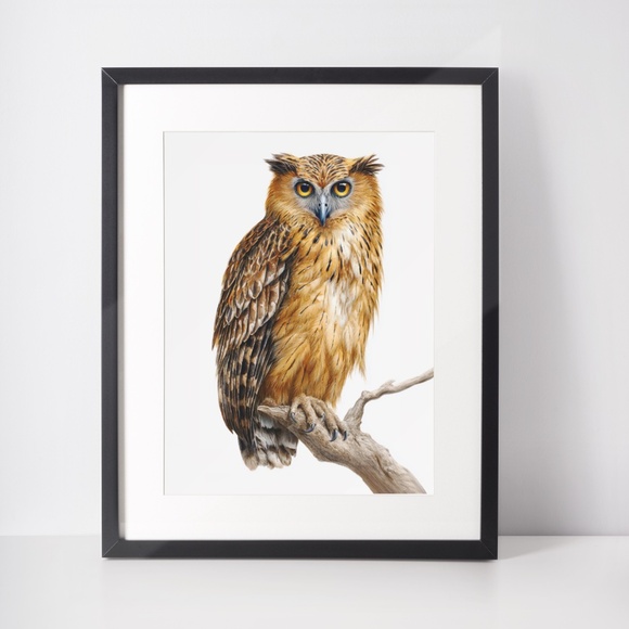 Watercolor Buffy Fish Owl Portrait Wall Art Print Poster, Unframed - Exotic - Picture 3 of 6
